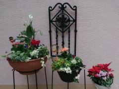 �摜(240x180)�E�g��摜(640x480)