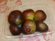 �摜(180x135)�E�g��摜(640x480)