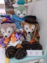 �摜(180x240)�E�g��摜(480x640)