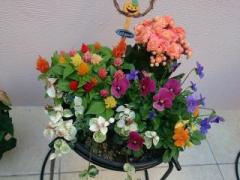 �摜(240x180)�E�g��摜(640x480)