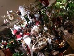 �摜(240x180)�E�g��摜(640x480)