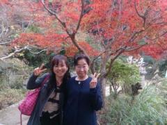 �摜(240x180)�E�g��摜(640x480)