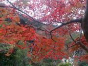 �摜(180x135)�E�g��摜(640x480)