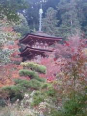 �摜(180x240)�E�g��摜(480x640)