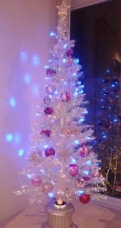 画像(170x320)・拡大画像(341x640)