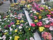 �摜(180x135)�E�g��摜(640x480)