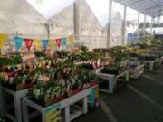 �摜(180x135)�E�g��摜(640x480)