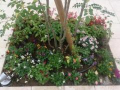 �摜(240x180)�E�g��摜(640x480)