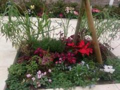 �摜(240x180)�E�g��摜(640x480)