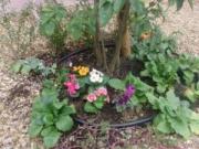 �摜(180x135)�E�g��摜(640x480)