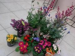 画像(240x180)・拡大画像(640x480)