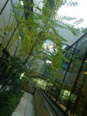 �摜(180x240)�E�g��摜(480x640)