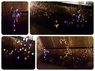 �摜(320x240)�E�g��摜(640x480)