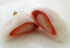 �摜(240x165)�E�g��摜(400x275)