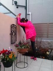 �摜(180x240)�E�g��摜(480x640)