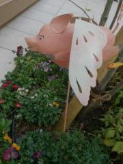 �摜(180x240)�E�g��摜(480x640)