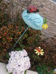 �摜(180x240)�E�g��摜(480x640)