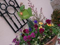 �摜(240x180)�E�g��摜(640x480)