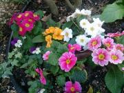 �摜(180x135)�E�g��摜(640x480)