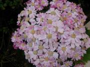 �摜(180x135)�E�g��摜(640x480)