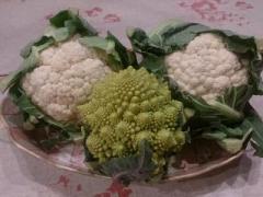 �摜(240x180)�E�g��摜(640x480)