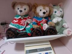 �摜(240x180)�E�g��摜(640x480)