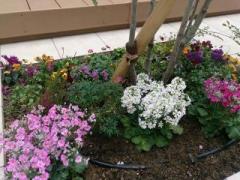 �摜(240x180)�E�g��摜(640x480)