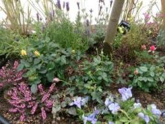 �摜(240x180)�E�g��摜(640x480)