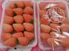 �摜(240x180)�E�g��摜(640x480)