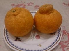 �摜(240x180)�E�g��摜(640x480)