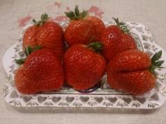 �摜(240x180)�E�g��摜(640x480)