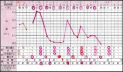 �摜(240x141)�E�g��摜(613x362)