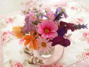 �摜(180x135)�E�g��摜(640x480)