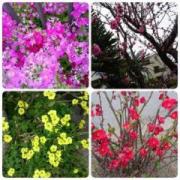 画像(180x180)・拡大画像(631x631)