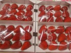 �摜(240x180)�E�g��摜(640x480)