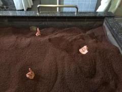 �摜(240x180)�E�g��摜(640x480)