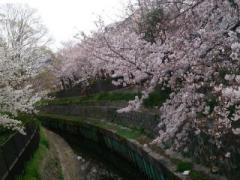 �摜(240x180)�E�g��摜(640x480)