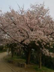 �摜(180x240)�E�g��摜(480x640)