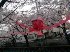 �摜(240x180)�E�g��摜(640x480)