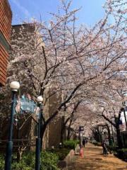 �摜(180x240)�E�g��摜(480x640)