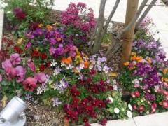 �摜(240x180)�E�g��摜(640x480)