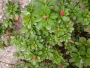 �摜(180x135)�E�g��摜(640x480)