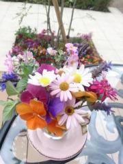 �摜(180x240)�E�g��摜(480x640)