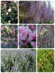 �摜(180x240)�E�g��摜(480x640)