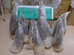 �摜(240x180)�E�g��摜(640x480)