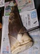 �摜(135x180)�E�g��摜(480x640)