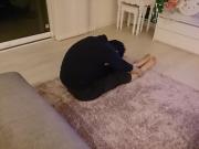 �摜(180x135)�E�g��摜(640x480)