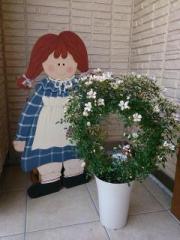 �摜(180x240)�E�g��摜(480x640)