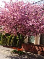 �摜(180x240)�E�g��摜(480x640)