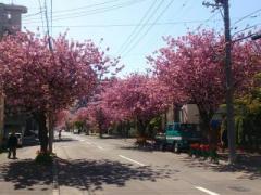 �摜(240x180)�E�g��摜(640x480)